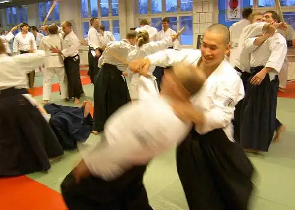Aikido — Jönköping 2004