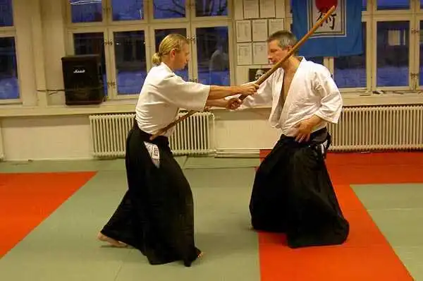 Aikido — Jönköping 2004
