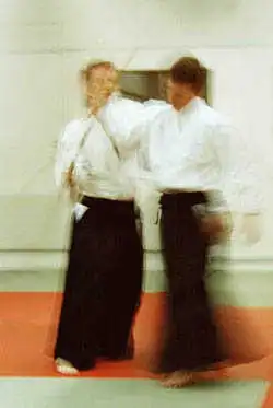 Aikido — Ghosts at Enighet.