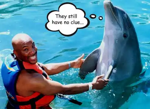 Dolphin mute meme.