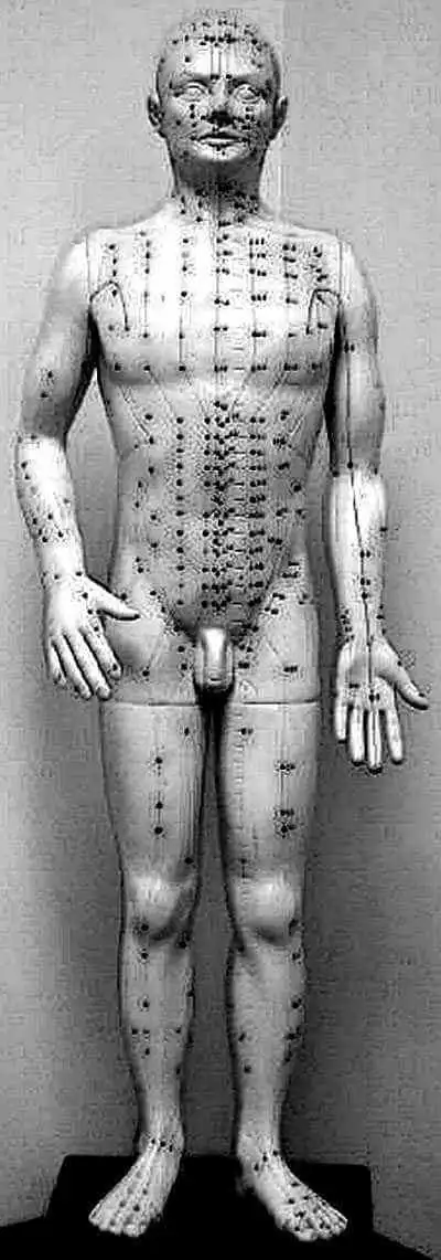 Acupuncture doll.