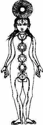 The seven chakra and their positions on the body.