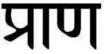 Prana in Sanskrit.