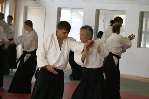 Tamura Sensei Seminar 2008.