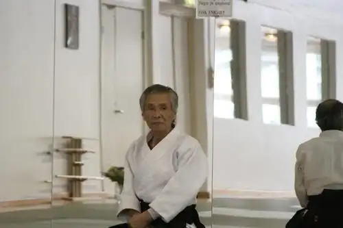 Tamura Sensei Seminar 2008.