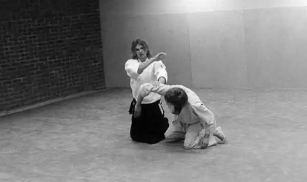 Brandbergen Aikido in the 1980s.