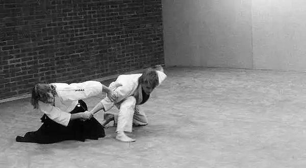 Brandbergen Aikido in the 1980s.