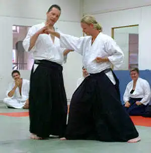 Aikido class.