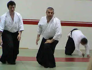 Aikido ukemi training.