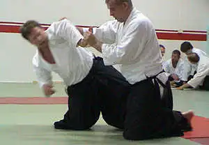 Aikido grading.