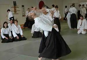 Tamura sensei seminar.