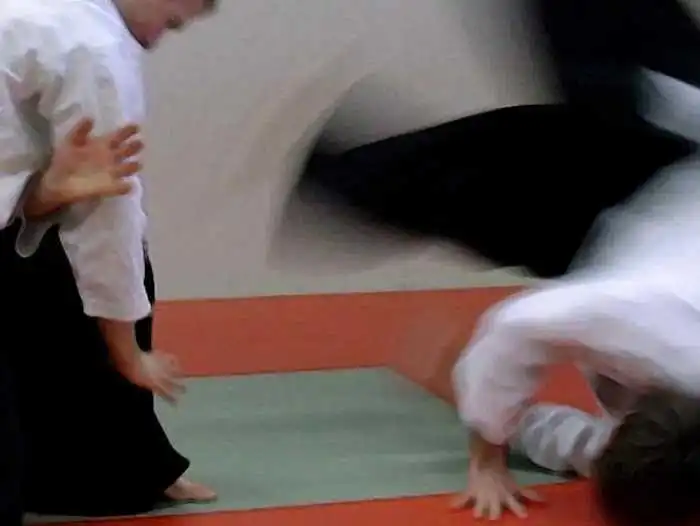 aikido