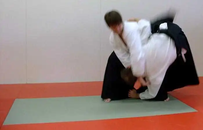 aikido