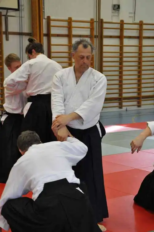 Gubbngen aikido seminar 2010.