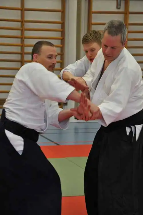 Gubbngen aikido seminar 2010.