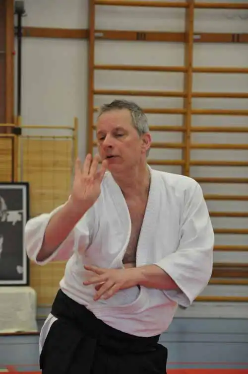 Gubbngen aikido seminar 2010.