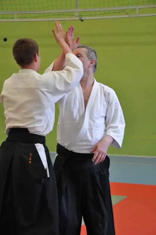 Gubbngen aikido seminar 2010.