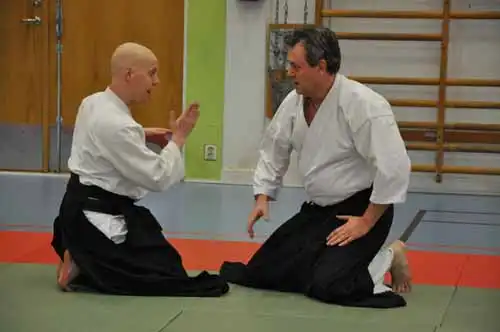 Gubbngen aikido seminar 2010.