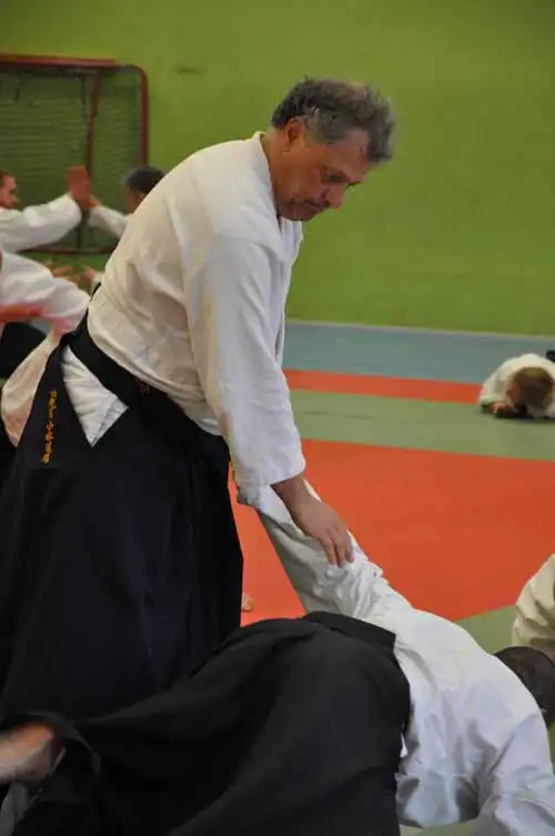 Gubbngen aikido seminar 2010.