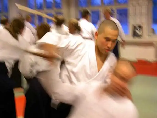 Aikido — Jönköping 2004