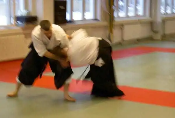 Aikido — Jönköping 2004