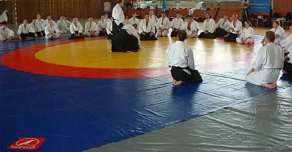 Aikido