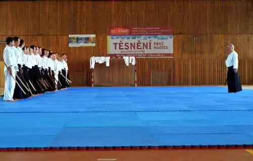 Plzen aikido seminar 2014.