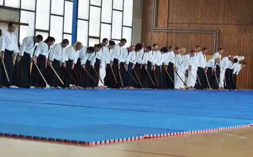 Plzen aikido seminar 2014.