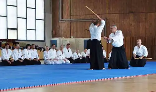 Plzen aikido seminar 2014.