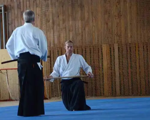 Plzen aikido seminar 2014.