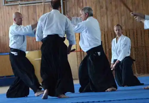 Plzen aikido seminar 2014.