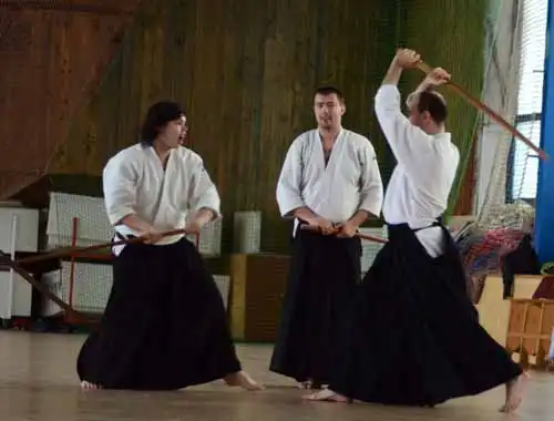 Plzen aikido seminar 2014.