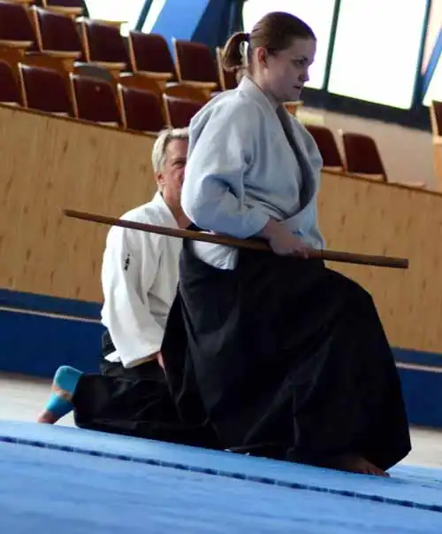 Plzen aikido seminar 2014.