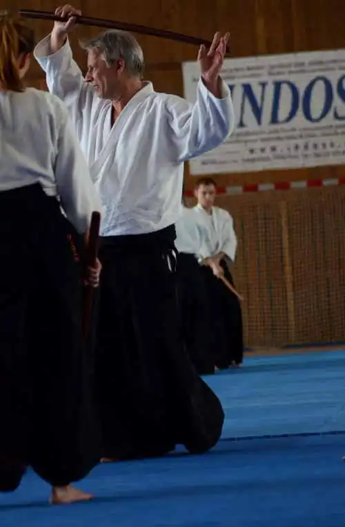 Plzen aikido seminar 2014.