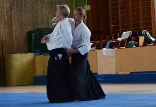 Plzen aikido seminar 2014.