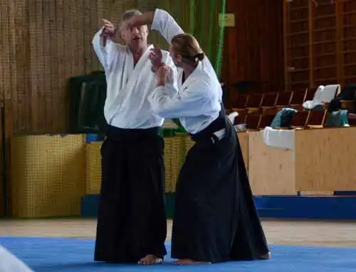 Plzen aikido seminar 2014.