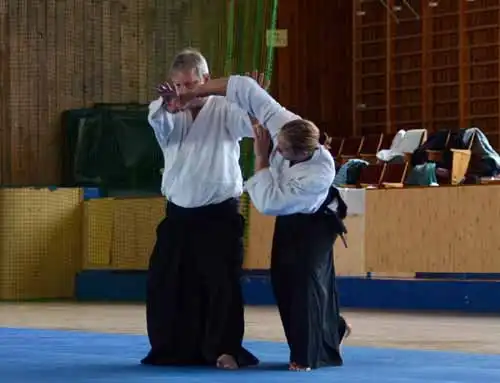 Plzen aikido seminar 2014.