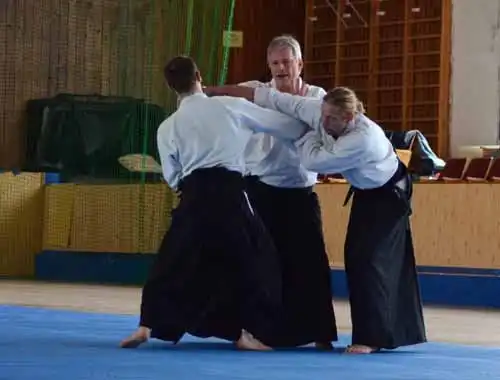 Plzen aikido seminar 2014.