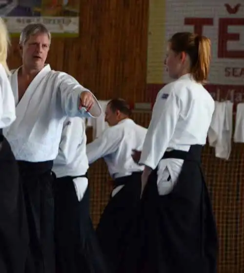 Plzen aikido seminar 2014.