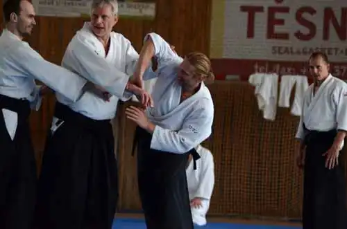 Plzen aikido seminar 2014.