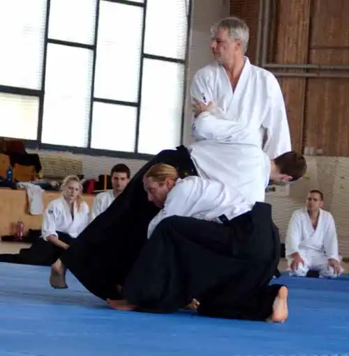 Plzen aikido seminar 2014.