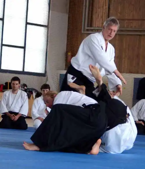 Plzen aikido seminar 2014.