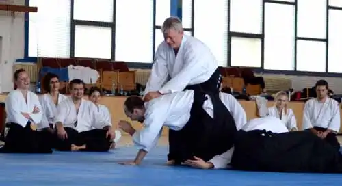 Plzen aikido seminar 2014.