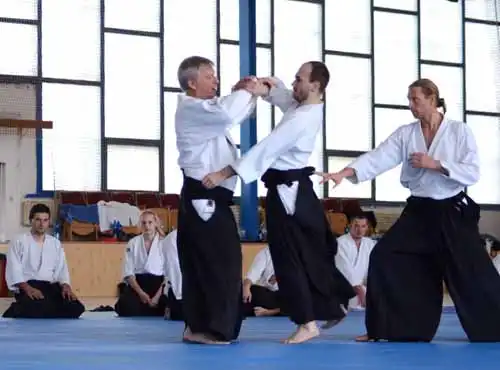 Plzen aikido seminar 2014.