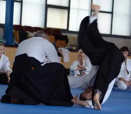 Plzen aikido seminar 2014.