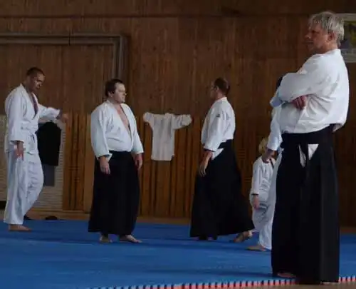 Plzen aikido seminar 2014.