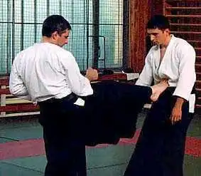 Aikido — Czech: maegeri