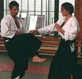 Aikido — Czech: maegeri