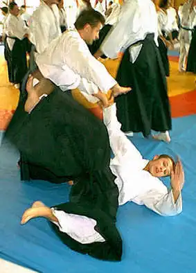 Aikido — Plzen 2000.