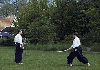 Aikido — Ven: tachidori